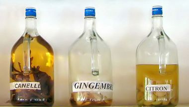 3 grosses bouteilles de 5l de rhum arrangé sur une étagère avec étiquettes: cannelle, gingembre, citron